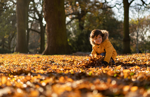 Naughty little boy at the park picking up a bunch of autumn leafs ready to throw them - Lifestyles