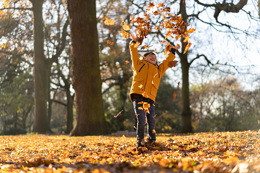 Happy beautiful little by having fun during autumn throwing leaves to the air - Lifestyles