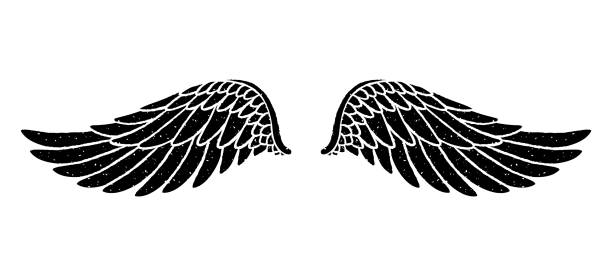 Hand drawn bird or angel grunge textured flapping wings. Black hand drawn wings silhouette for t-shirt prints, tatoo design, vintage styled poster.