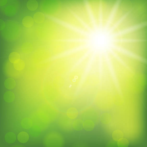 istock Sunny bright green vector background, green natural eco technology, green energy, spring and summer illustration. 1194915845