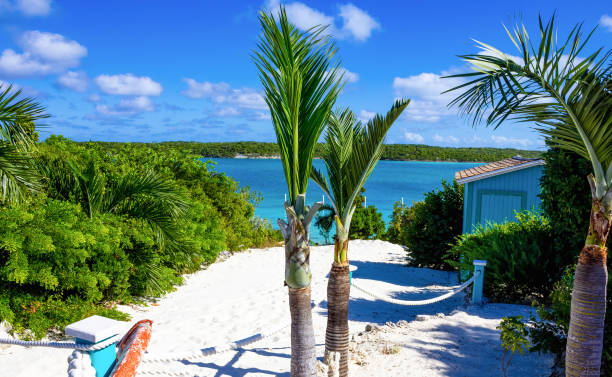 la vista della spiaggia sull'isola di half moon cay alle bahamas. - beach bench caribbean sea cloudscape foto e immagini stock