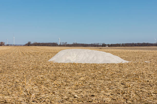 Pile of pulverized agricultural slaked lime in harvested cornfield with cornstalks waiting for fall fertilizer application landscape, no people, background apply fertilizer stock pictures, royalty-free photos & images