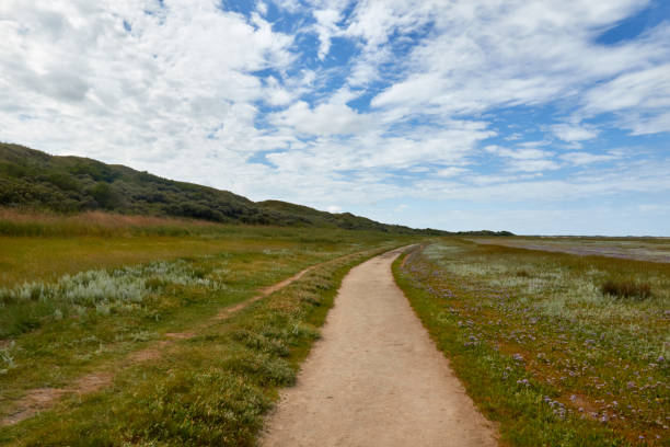 istock Take a hike to the Slufter in Texel, Holland. 1194924409
