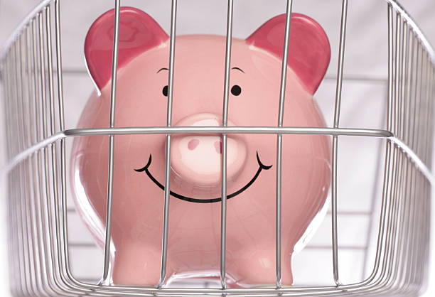 istock piggybank behind cage 119492703