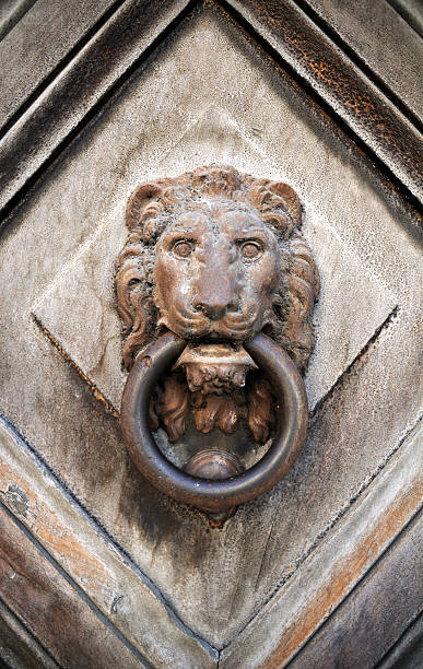 라이언 헤드 노커 - door knocker door lion luxury 뉴스 사진 이미지
