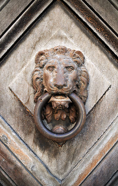 batente de porta cabeça de leão - door knocker door lion luxury imagens e fotografias de stock