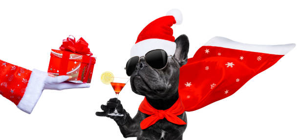 istock christmas santa claus dog 1194931338