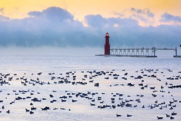 Photo of Flock of geese swimming in subzero water, iconic lighthouse in foggy background.
