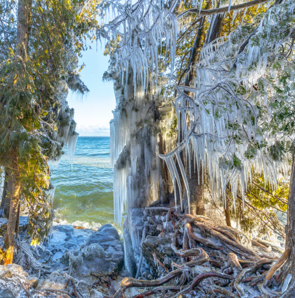 As Autumn turns to Winter, the Wisconsin shoreline becomes nature's art gallery. Intricate and fragile ice sculptures form as waves throw freezing water on trees, rocks and other shoreline objects.