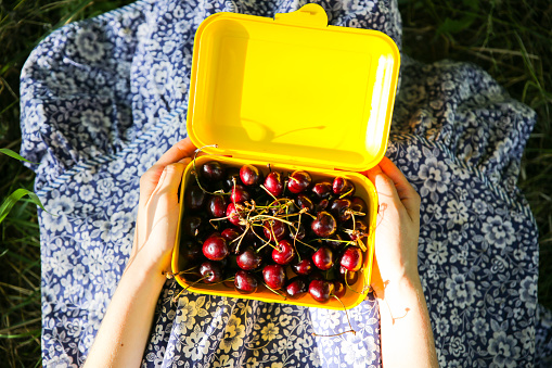 Girl is sitting on the grass in blue vintage dress. Woman is holding lunchbox with cherries. Rustic summer fruit flat lay. Healthy vegetarian ecological food lifestyle concept.