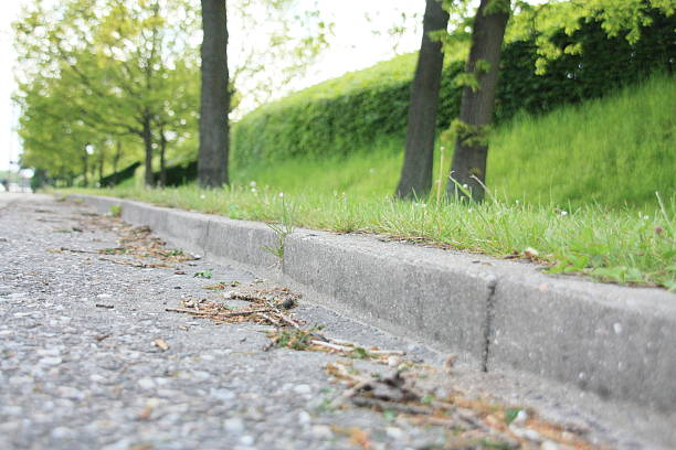 istock Autumn moods on asphalt road 119493723