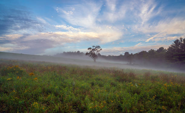 istock early morning in New York field 1194938227