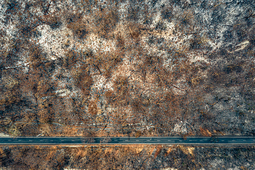 Aerial view of Australian bush fire destruction with empty road.