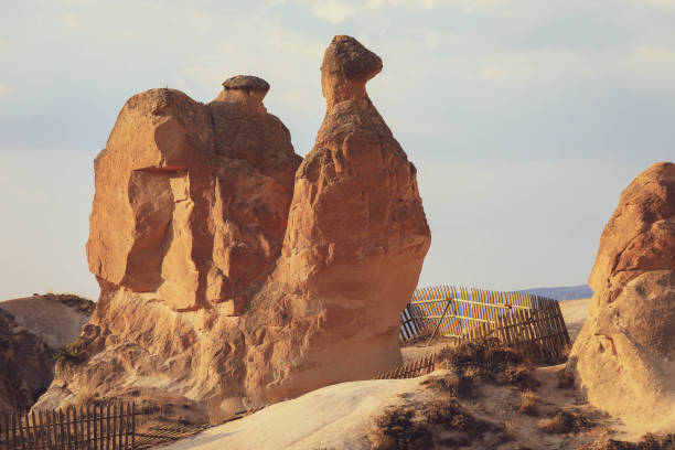 Camel rock at Devrent valley (Imaginary valley) in Cappadocia, Anatolia, Turkey. UNESCO world heritage site