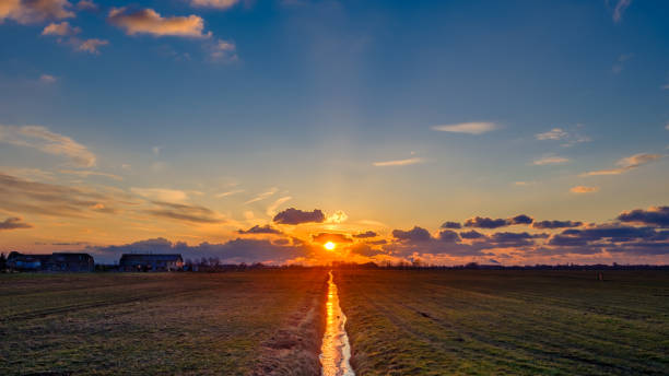 sunset in the polder, close to rotterdam netherlands - polder field meadow landscape imagens e fotografias de stock