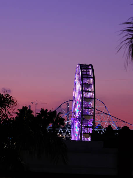 istock Long Beach Ferris Wheel at Dusk 1194941481