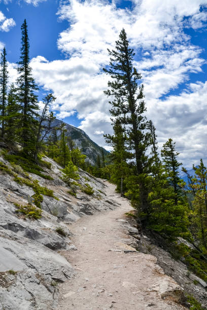 istock Sulfur Mountain Trail 1194943487