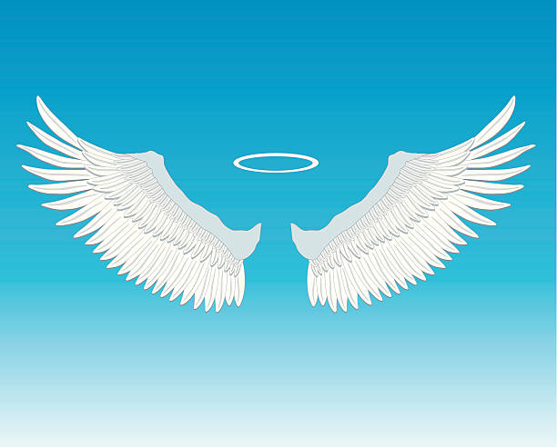 engel flügel und heiligenschein - vestigial wing stock-grafiken, -clipart, -cartoons und -symbole