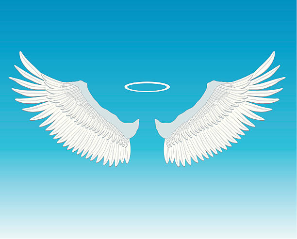 illustrations, cliparts, dessins animés et icônes de ange des ailes de poulet et l'halo - aile vestigiale