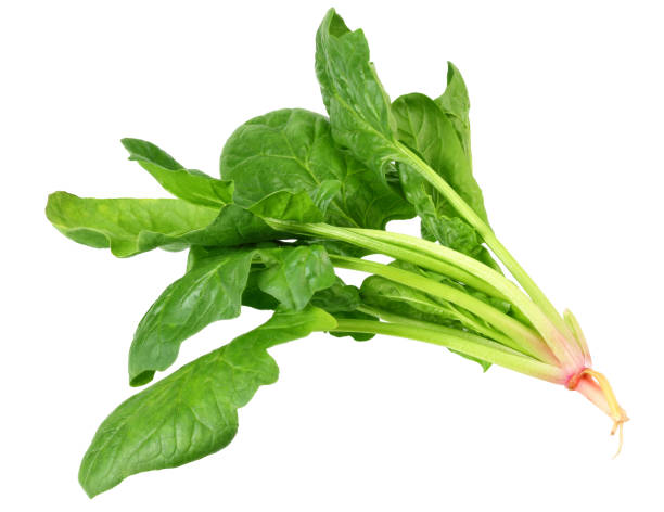 istock spinach leaves isolate on white background. Healthy food. 1194945138