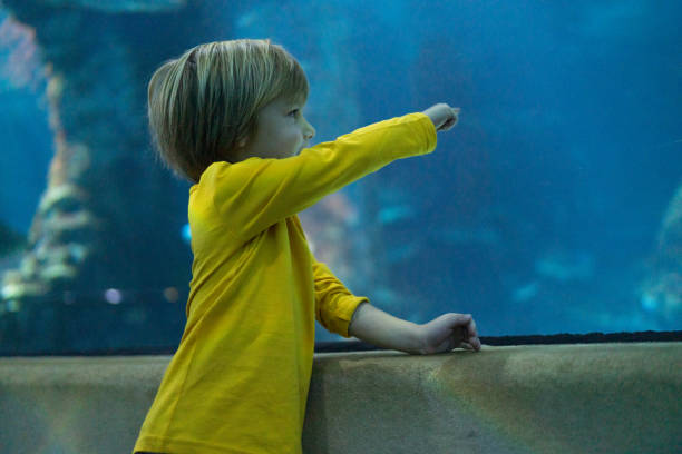 istock Cute boy in public aquarium 1194946083