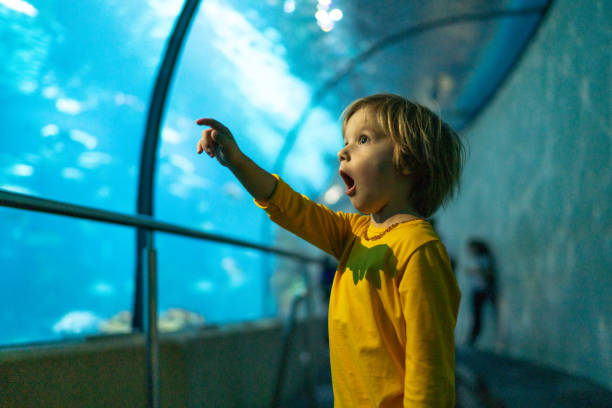 little boy in public aquarium - assombro imagens e fotografias de stock