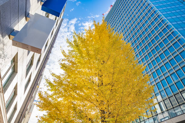 istock Brightly colored trees and urban buildings 1194948664