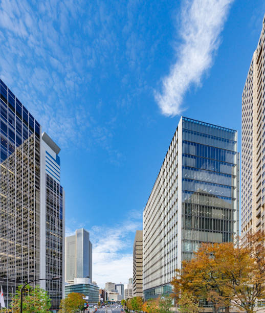 istock Brightly colored trees and urban buildings 1194949825