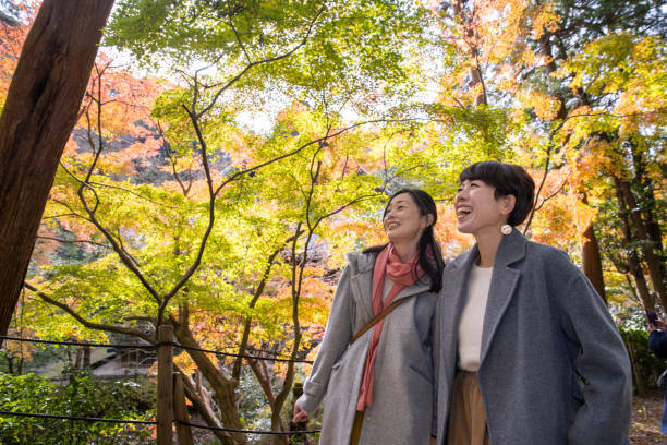 felices amigas que miran el follaje otoñal - kamakura japan tourist people fotografías e imágenes de stock