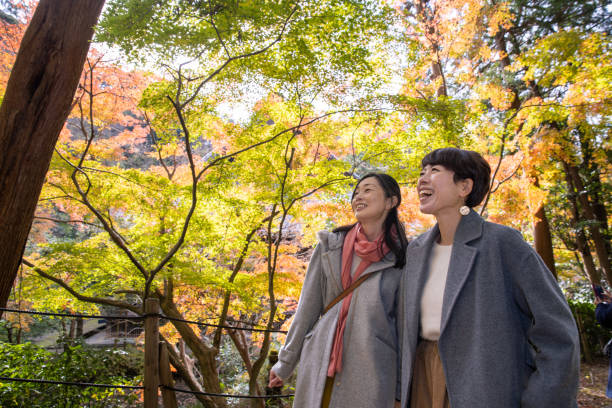 amis féminins heureux regardant le feuillage d'automne - kamakura japan tourist people photos et images de collection