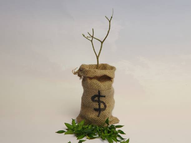 istock Money down or crisis or loss 1194952715