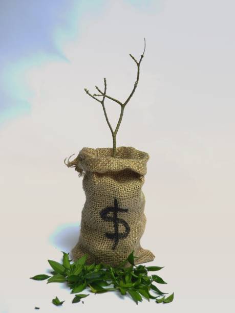 istock Money moving down or crisis or loss 1194952719