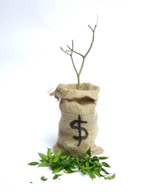 istock Money down or crisis or loss 1194952722