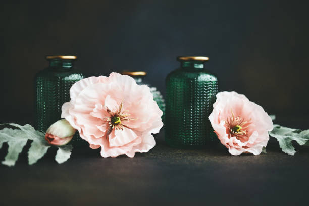 sfondo natura morta con piccoli barattoli di vetro e papaveri rosa - plant poppy oriental poppy green foto e immagini stock