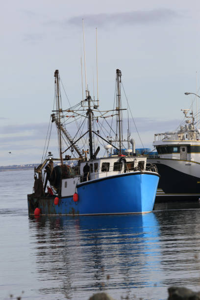istock Fishing boats 1194955082