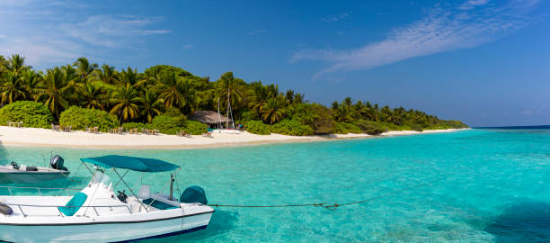 istock Private jetty with boats 1194960150