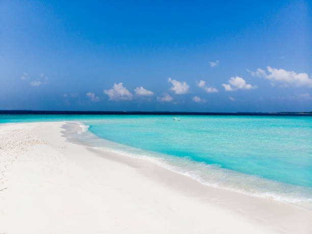 Hammock on amazing white sandbar in pristine tropical waters on a sunny day