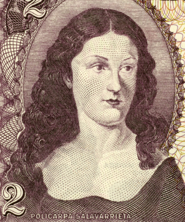 Clara Schumann a closeup portrait from old German money - Mark