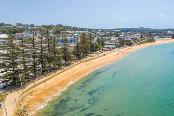 istock Terigal, NSW, Australia 1194968076