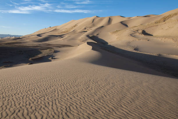 istock The landscape of the desert 1194968910