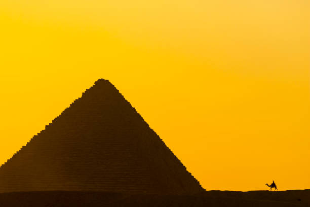 des promenades à dos de chameau sont proposées aux pyramides de gizeh - pyramid pyramid shape egypt sunset photos et images de collection