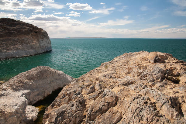 istock wild birds sitting on nests built on white cliff 1194969652