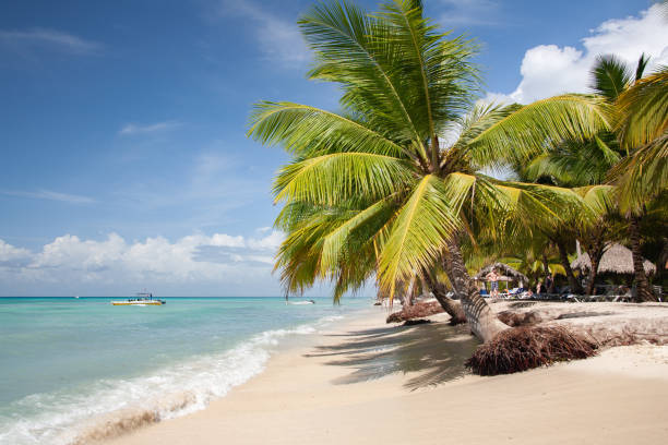 istock Dominican Republic Caribbean Coastline tropical beach 1194971463