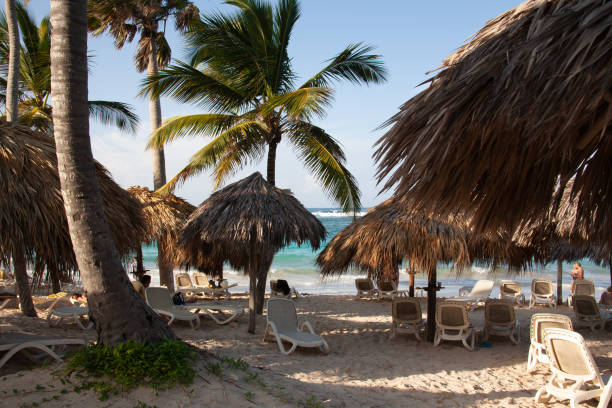 istock Dominican Republic Caribbean Coastline tropical beach 1194971485