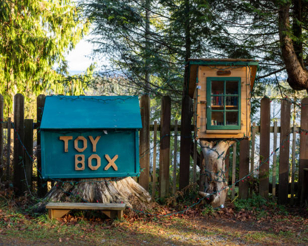 istock Toy box and little library on a road side 1194971518