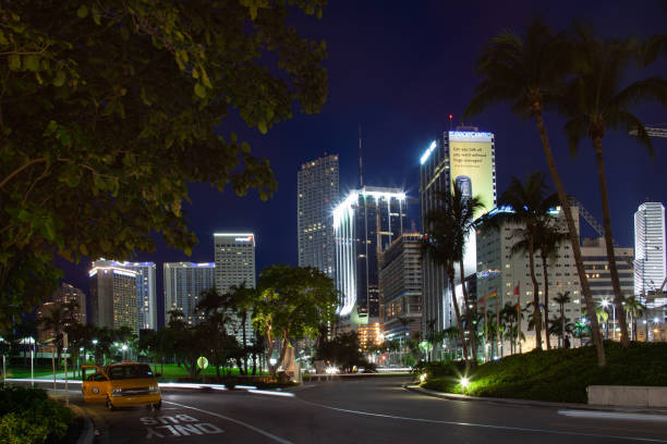 istock miami florida downtown night scene 1194972841