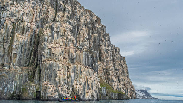 Alkefjellet bird cliff in Svalbard with murres.