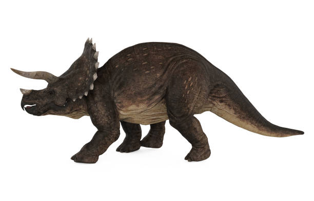 istock Triceratops Dinosaurs Isolated 1194979734