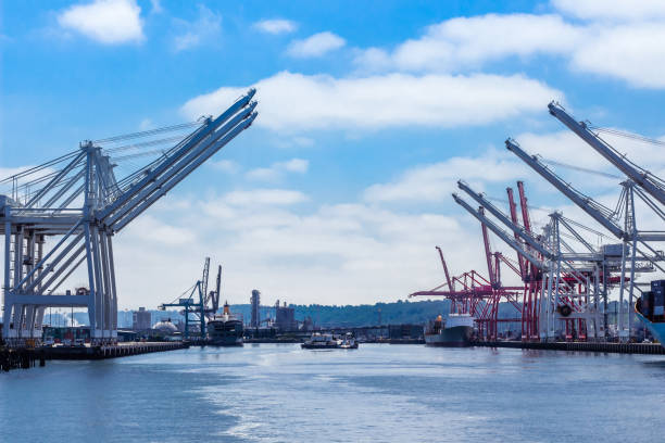 istock Cranes in port of Seattle 1194981172