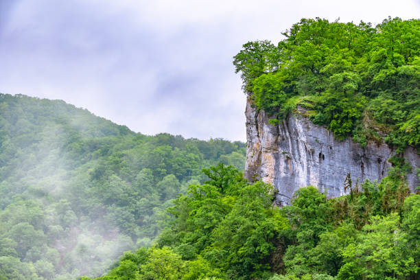 istock Rocky cliff in dense green forest. Mountain forest in the fog. 1194982049